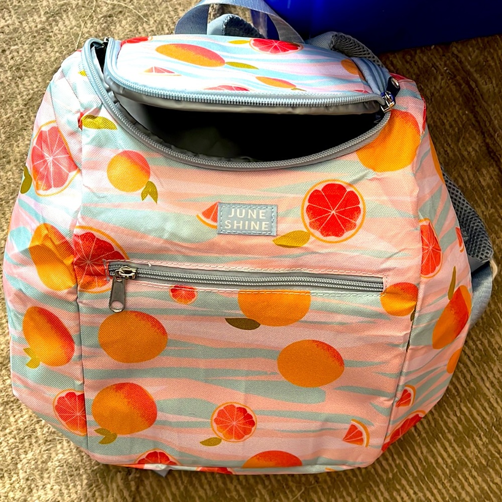 June Shine backpack cooler!
